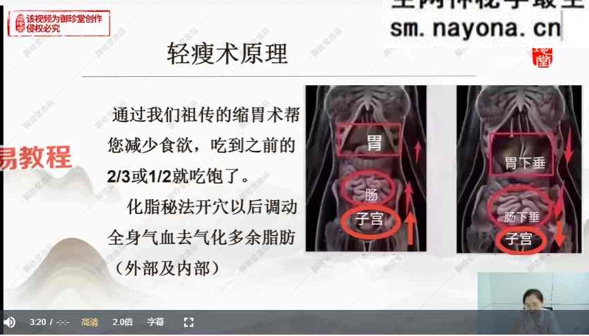 宫廷轻瘦术 12讲视频