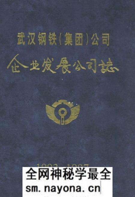 《《武汉钢铁集团公司·企业发展公司志》(1993-1997)》.pdf电子版_湖北省志预览图