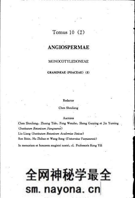 《中国植物志第十卷第二分册》.pdf电子版_其他志预览图4 《中国植物志第十卷第二分册》.pdf电子版_其他志预览图4
