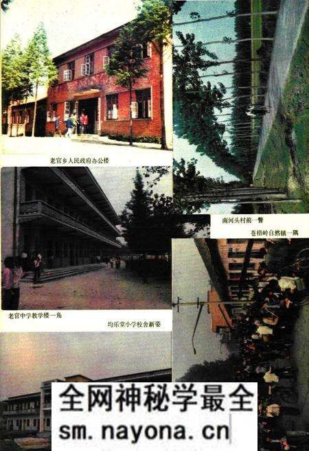 《《老官乡志》》.pdf电子版_湖北省志预览图2
