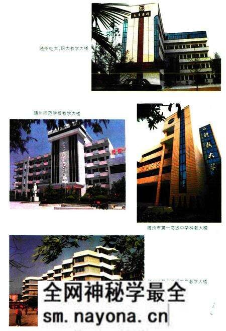 《《随州教育志》(1869-1990)》.pdf电子版_湖北省志预览图5