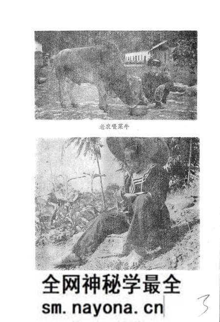 《毛南族风俗志》.pdf电子版_其他志预览图5 《毛南族风俗志》.pdf电子版_其他志预览图5