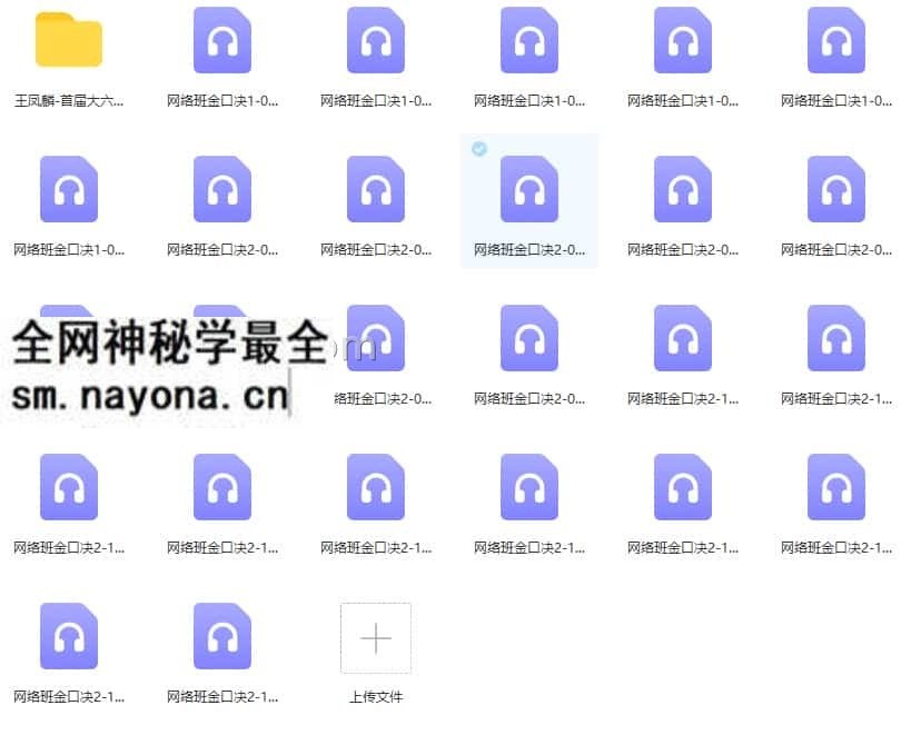 王凤麟初级网校网络班金口决19录音+对应讲义32pdf