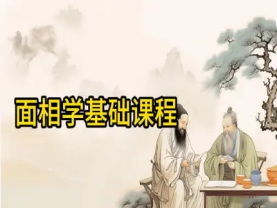 面相学基础课程