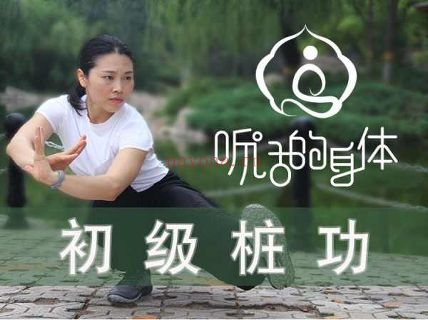 听话的身体|初级桩功