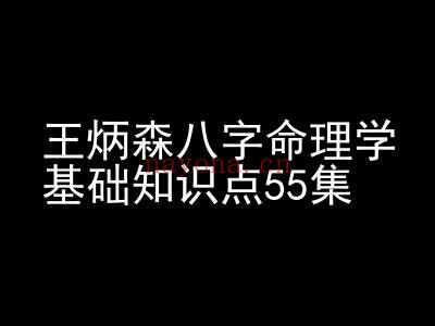 王炳森八字命理学基础知识点55集
