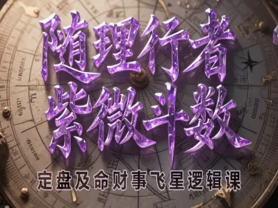 随理行者萧师兄紫微斗数全能综合飞星课程