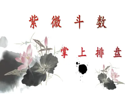 紫微斗数掌上排盘