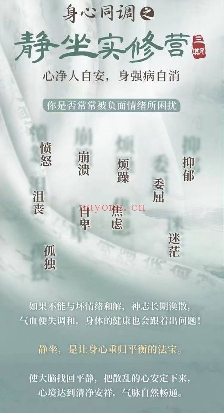 徐泊涛身心同调之静坐实修营线上三期视频课