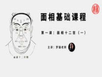 罗镇老师·面相基础课程