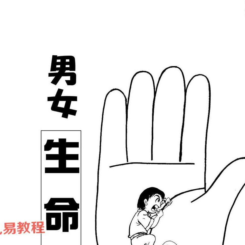 掌相配对夹姻缘.pdf 易天生，210页
