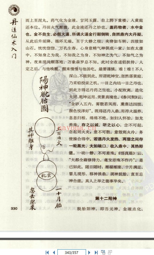 《丹道仙术入门》(道教书籍大全)