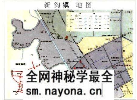 《新沟镇志》.pdf电子版_湖北省志预览图2