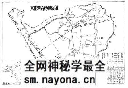《八里湖农场志》.pdf电子版_湖北省志预览图3