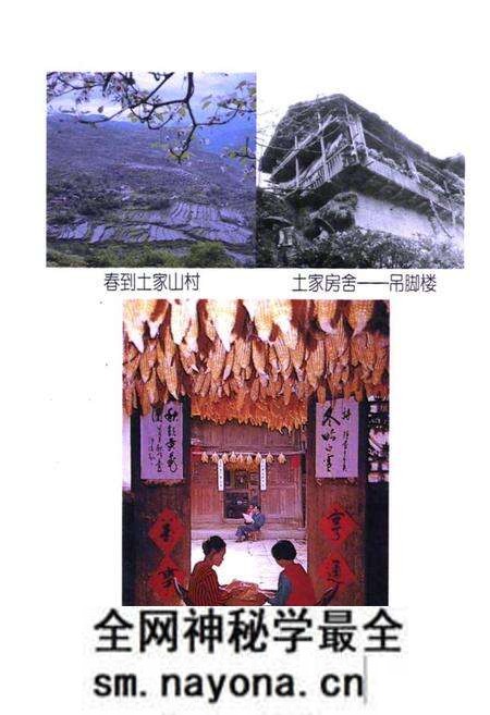 《巴东县民族志》.pdf电子版_湖北省志预览图3 《巴东县民族志》.pdf电子版_湖北省志预览图3