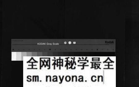 江西罗氏族谱-棠阴罗氏房谱[残4卷].pdf电子版预览图