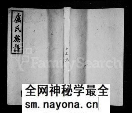湖南卢氏族谱-卢氏支谱 [4卷].pdf电子版预览图1