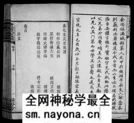 湖南皮氏族谱-善化皮氏世族谱 [16卷].pdf电子版预览图3