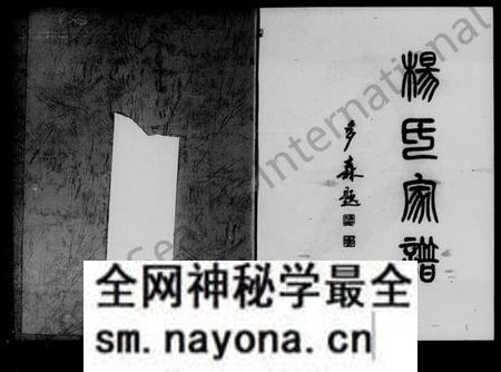 湖南杨氏族谱-杨氏家谱.pdf电子版预览图1