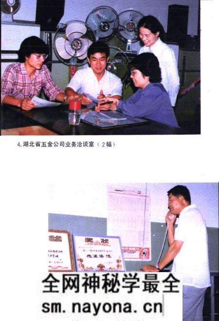 《湖北省商业简志(第四册)·五金商业志》.pdf电子版_湖北省志预览图4 《湖北省商业简志(第四册)·五金商业志》.pdf电子版_湖北省志预览图4