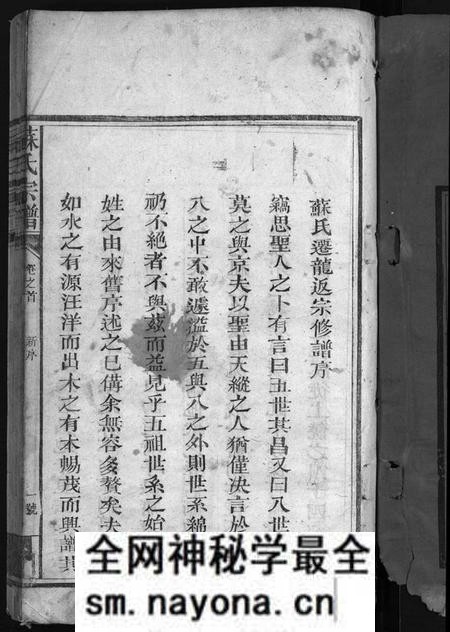 江西苏氏族谱-苏氏宗谱 [残卷].pdf电子版预览图2