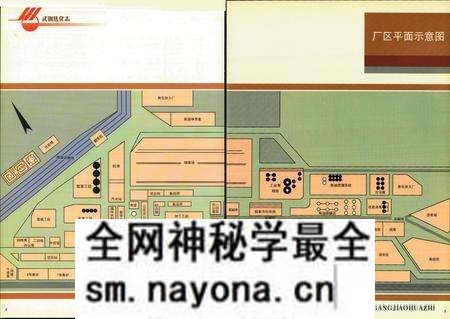 《《武钢焦化志》(1984-1999)》.pdf电子版_湖北省志预览图5