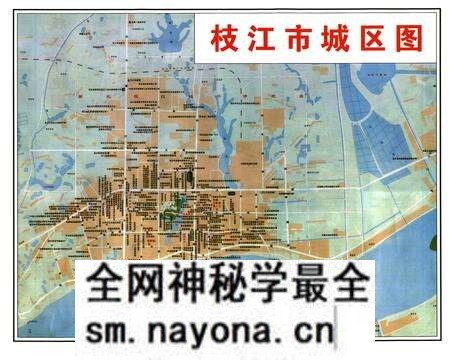 《枝江人口志》.pdf电子版_湖北省志预览图5 《枝江人口志》.pdf电子版_湖北省志预览图5