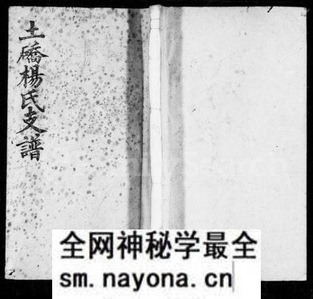 湖南杨氏族谱-杨氏支谱 [10卷,首2卷].pdf电子版预览图1