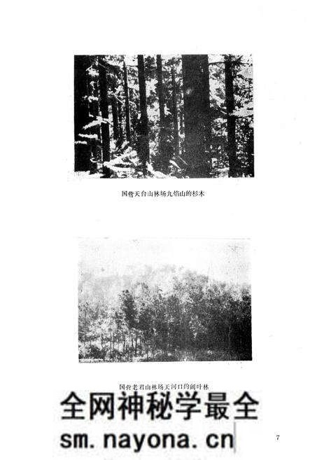 《红安县林业志》.pdf电子版_湖北省志预览图5 《红安县林业志》.pdf电子版_湖北省志预览图5