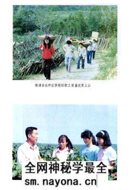 《湖北省供销合作社志》.pdf电子版_湖北省志预览图3