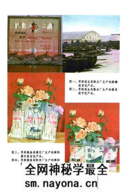 《枣阳财政金融贸易志》.pdf电子版_湖北省志预览图5 《枣阳财政金融贸易志》.pdf电子版_湖北省志预览图5