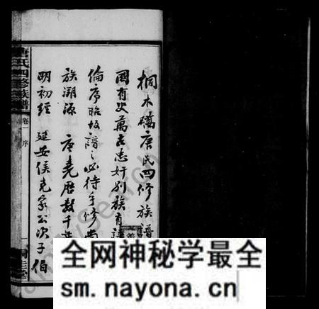 湖南唐氏族谱-桐木桥唐氏族谱 [8卷,含首1卷].pdf电子版预览图3
