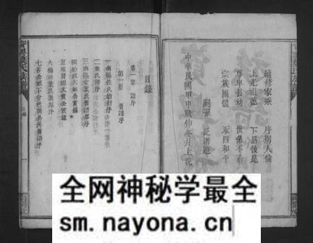 湖南叶氏族谱-资兴叶氏族谱 [不分卷].pdf电子版预览图3