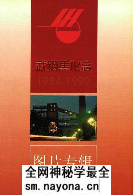 《《武钢焦化志》(1984-1999)》.pdf电子版_湖北省志预览图2