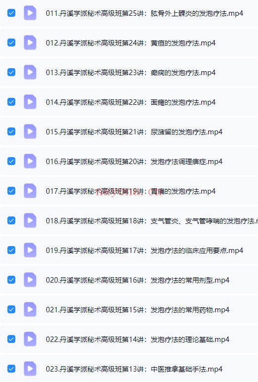 赵书曦丹溪学派秘术高级班35集视频 中医秘术