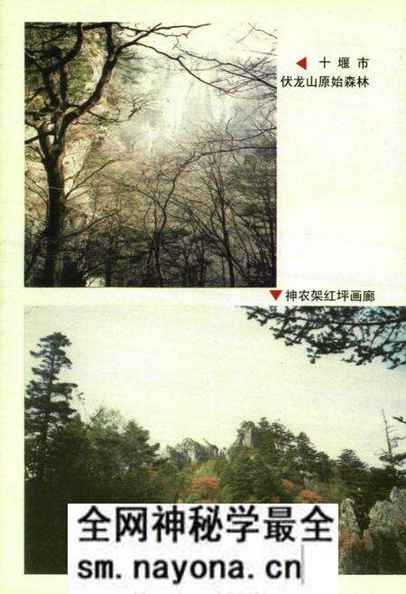 《鄂西北胜境志》.pdf电子版_湖北省志预览图5 《鄂西北胜境志》.pdf电子版_湖北省志预览图5