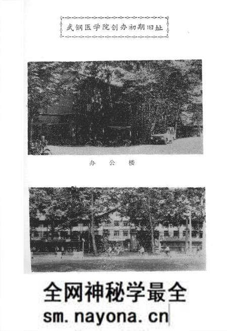 《《武汉冶金医学专科学校志》(1960-1985)》.pdf电子版_湖北省志预览图5