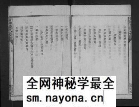 湖南叶氏族谱-资兴叶氏族谱 [不分卷].pdf电子版预览图5