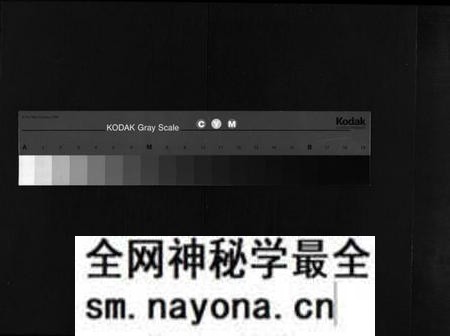 湖南毛氏族谱-毛氏族谱 [4卷,含首1卷].pdf电子版预览图