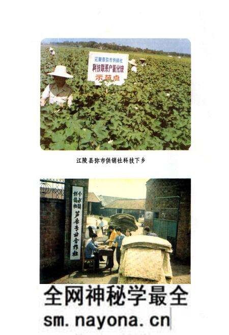 《湖北省供销合作社志》.pdf电子版_湖北省志预览图4