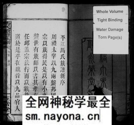 湖南马氏族谱-马氏族谱 [8卷,含卷首].pdf电子版预览图4