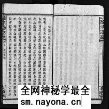 湖南王氏族谱-上湘城南王氏楠房支谱 [4卷,首1卷].pdf电子版预览图5