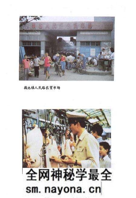 《公安县工商行政管理志》.pdf电子版_湖北省志预览图5 《公安县工商行政管理志》.pdf电子版_湖北省志预览图5