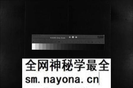 湖南李氏族谱-金山井头李氏族谱 [不分卷].pdf电子版预览图