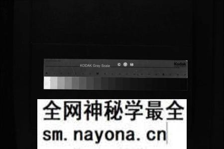 江西聂氏族谱-聂氏九修宗谱 [4卷].pdf电子版预览图