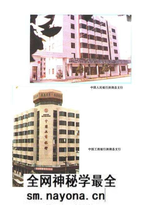 《《洪湖县金融志(1811-1987)》》.pdf电子版_湖北省志预览图3