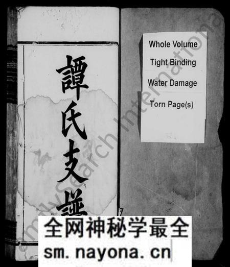 湖南谭氏族谱-谭氏支谱 [11卷].pdf电子版预览图2