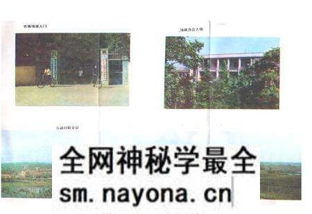 《《武湖农场志》》.pdf电子版_湖北省志预览图3 《《武湖农场志》》.pdf电子版_湖北省志预览图3