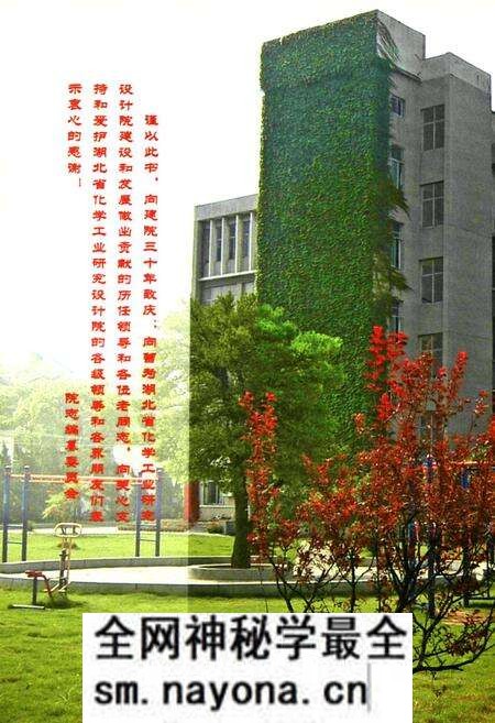 《湖北省化学工业研究设计院院志(1978-2008)》.pdf电子版_湖北省志预览图2