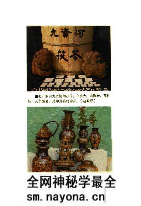 《鄂东名物风味辑览》.pdf电子版_湖北省志预览图5 《鄂东名物风味辑览》.pdf电子版_湖北省志预览图5